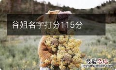 谷姐名字打分115分