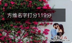 方维名字打分119分