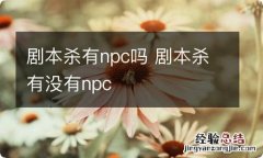 剧本杀有npc吗 剧本杀有没有npc