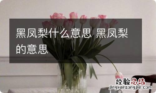 黑凤梨什么意思 黑凤梨的意思