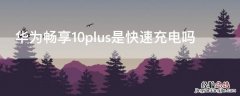 华为畅享10plus是快速充电吗