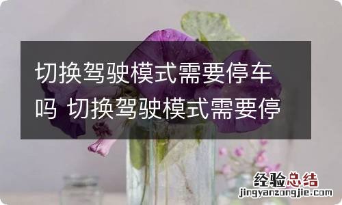 切换驾驶模式需要停车吗 切换驾驶模式需要停车吗视频