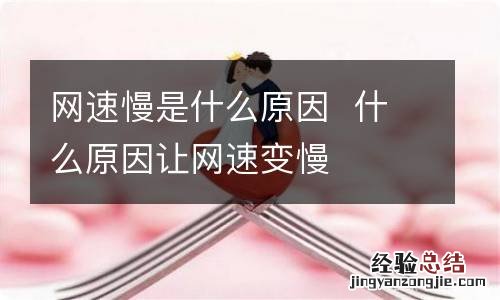 网速慢是什么原因什么原因让网速变慢