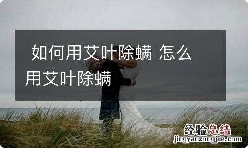 如何用艾叶除螨 怎么用艾叶除螨