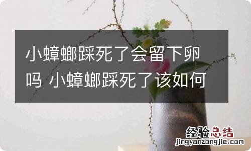 小蟑螂踩死了会留下卵吗 小蟑螂踩死了该如何处理