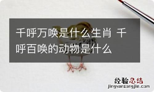 千呼万唤是什么生肖 千呼百唤的动物是什么