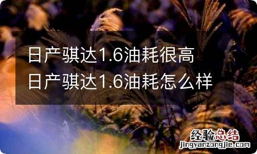日产骐达1.6油耗很高 日产骐达1.6油耗怎么样