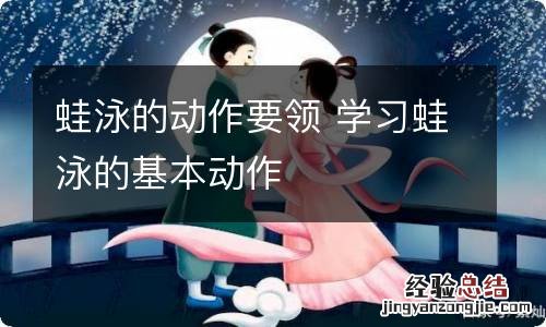 蛙泳的动作要领 学习蛙泳的基本动作