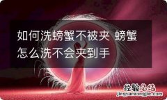 如何洗螃蟹不被夹 螃蟹怎么洗不会夹到手