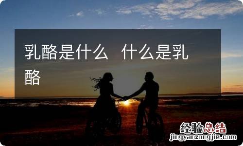 乳酪是什么什么是乳酪