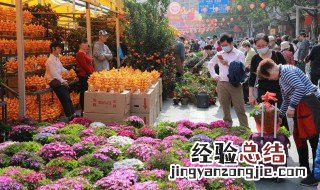 送花给朋友送什么花合适 朋友之间送什么花合适