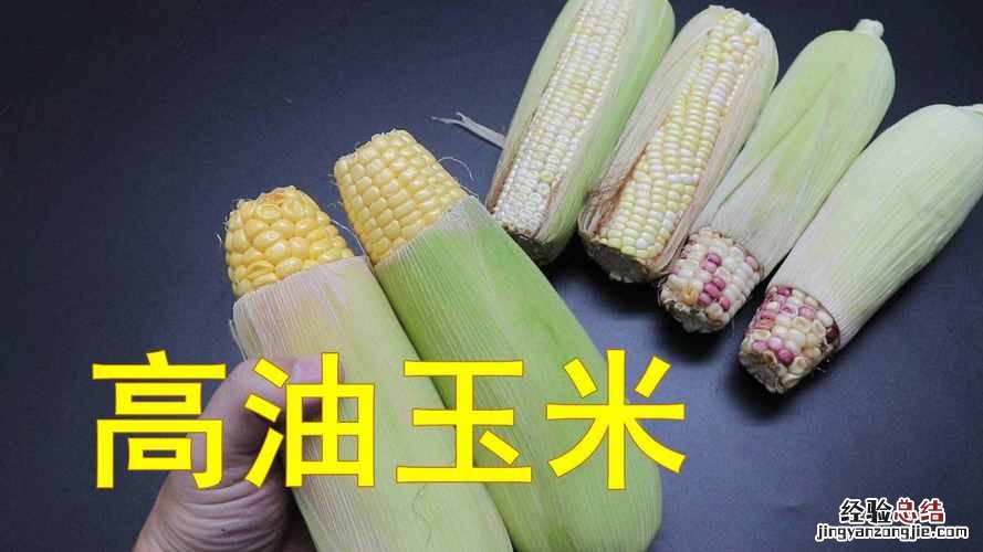 玉米的功效与作用