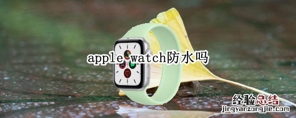 apple watch防水吗