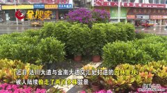 花10年养1盆花,结果几秒就被人偷了,我想报警