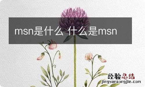 msn是什么 什么是msn