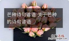 芒种诗句谚语 关于芒种的诗句谚语