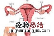 做人流会导致卵巢功能下降吗 多次流产会使卵巢功能下降吗