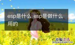 esp是什么 esp是做什么用的