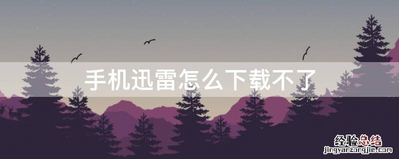 手机迅雷怎么下载不了了 手机迅雷怎么下载不了