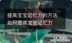 提高宝宝记忆力的方法如何提高宝宝记忆力