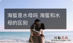 海蜇是水母吗 海蜇和水母的区别