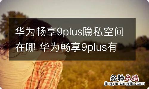 华为畅享9plus隐私空间在哪 华为畅享9plus有隐私空间吗