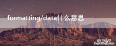 formatting/data什么意思 formatted data