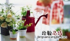 什么植物放家里风水好 什么植物养在家里风水好