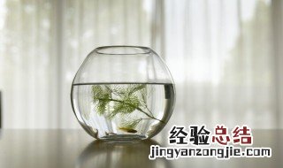 绿藻防治方法 如何去除绿藻