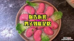 什么是鸡子