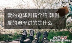 爱的迫降剧情介绍 韩剧爱的迫降讲的是什么