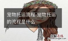 宠物托运流程 宠物托运的流程是什么