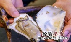 怎样开生蚝壳 怎么开生蚝壳最简单