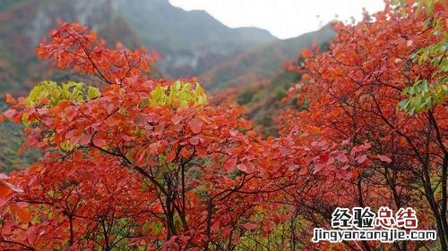 河南一日游去哪里比较好的