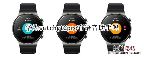 华为watchgt2pro支持语音助手吗