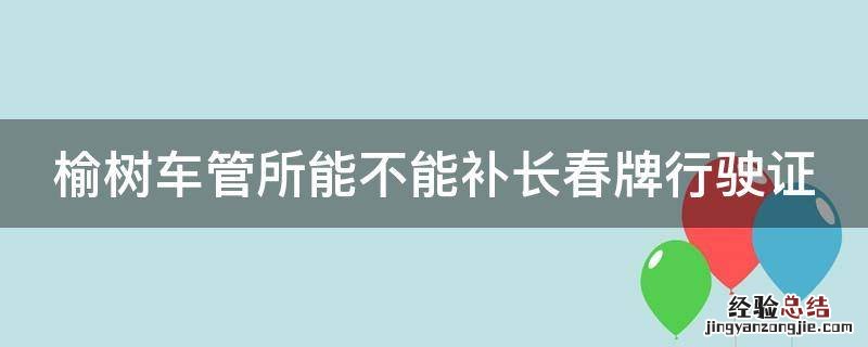 榆树车管所能不能补长春牌行驶证