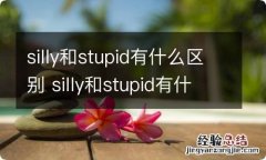 silly和stupid有什么区别 silly和stupid有什么不同