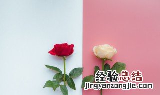 花店买的玫瑰一般能放几天 玫瑰一般能存放多久