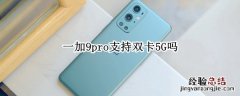 一加9pro支持双卡5G吗