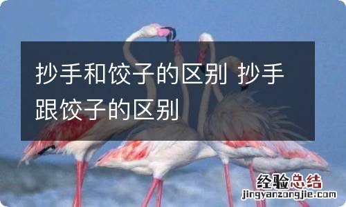 抄手和饺子的区别 抄手跟饺子的区别
