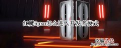 红魔6pro怎么进入开发者模式