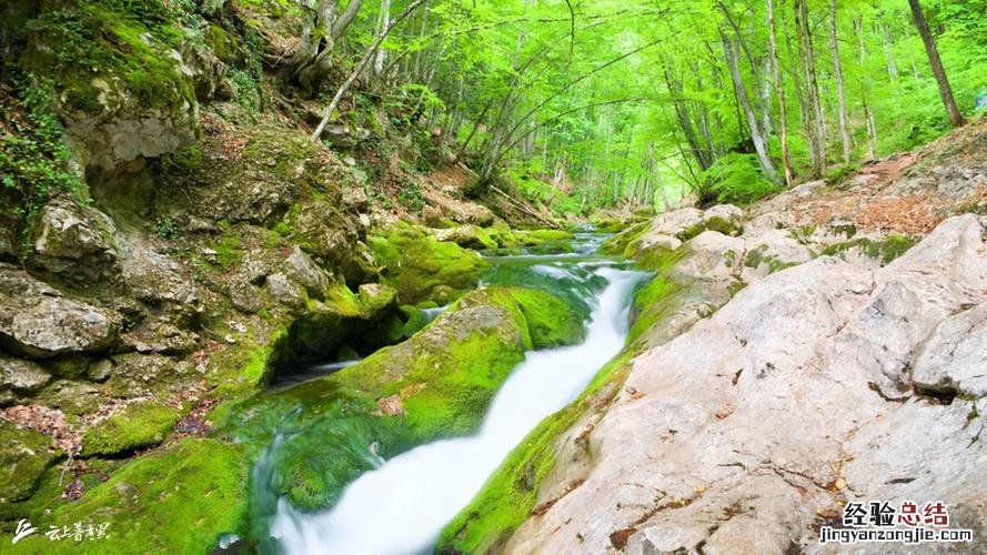 什么的小溪填空
