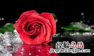 平安夜送老婆什么礼物合适 平安夜送老婆礼物送什么