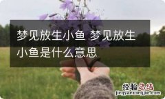 梦见放生小鱼 梦见放生小鱼是什么意思