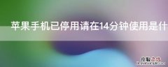 iPhone手机已停用请在14分钟使用是什么情况