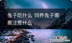 兔子吃什么 饲养兔子需要注意什么