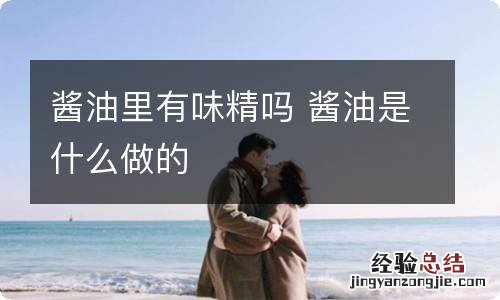 酱油里有味精吗 酱油是什么做的