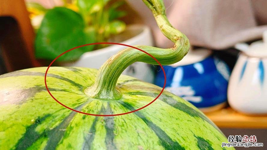 手字开头的成语