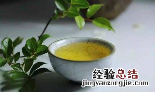 绿茶适合什么时候喝 绿茶是什么茶