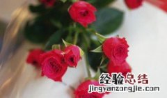 玫瑰花要怎样修枝 玫瑰花需要修剪枝叶吗怎么修